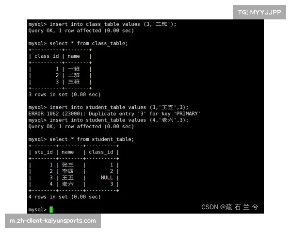 VAR介入标准再遭拷问 追溯性取消点球与关键节点沉默成焦点
